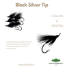 Black Silver Tip