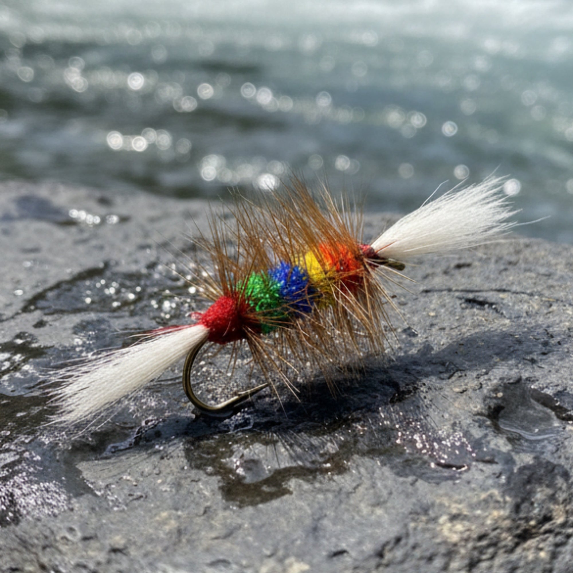 salmon bomber in multiple colors with a white tail and wing resting on a river rock