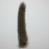 Grey squirrel tail on a white background