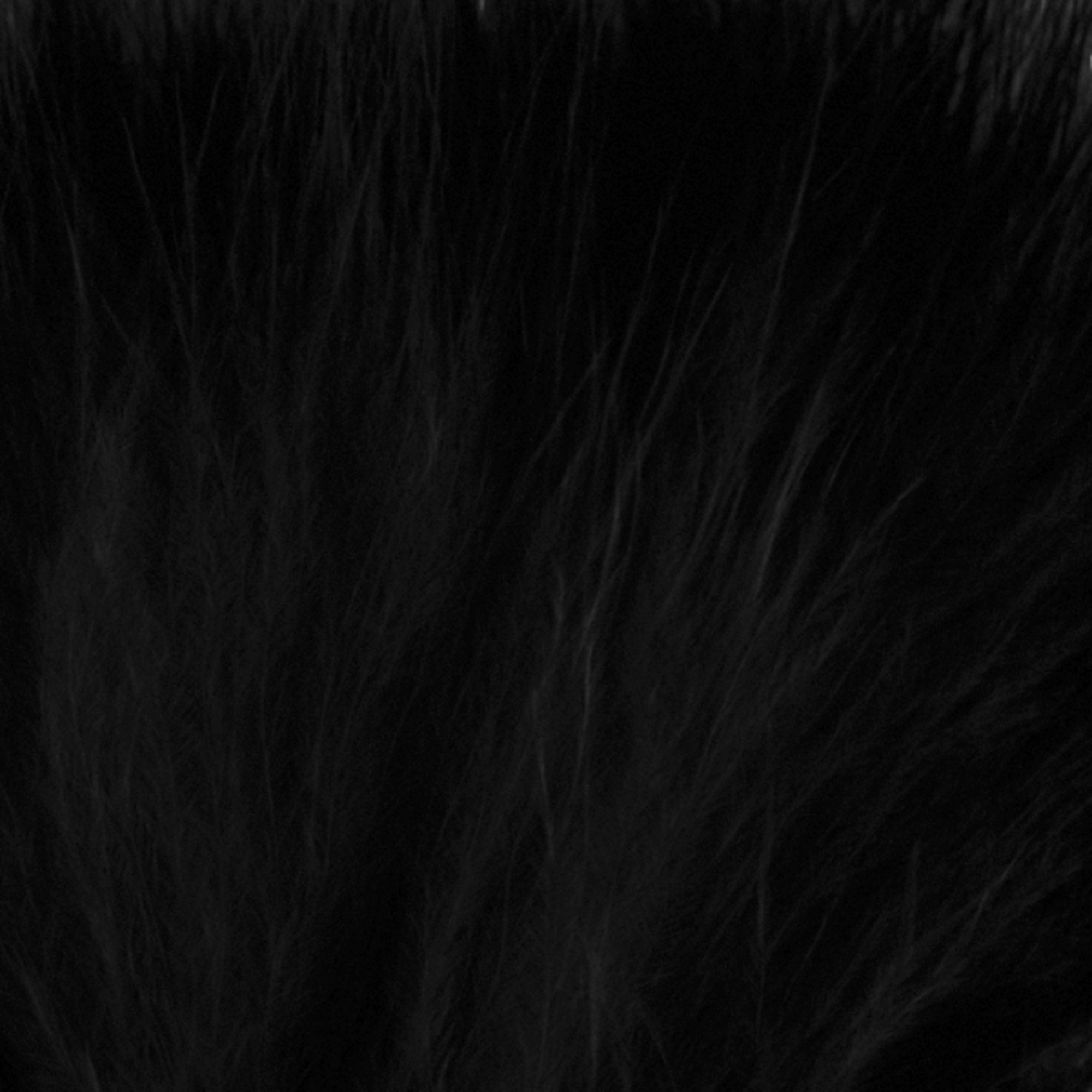 Strung Marabou in black