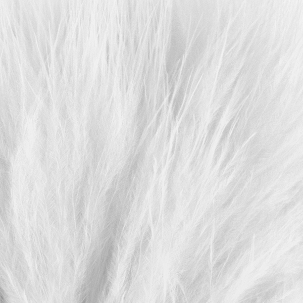 strung marabou in white