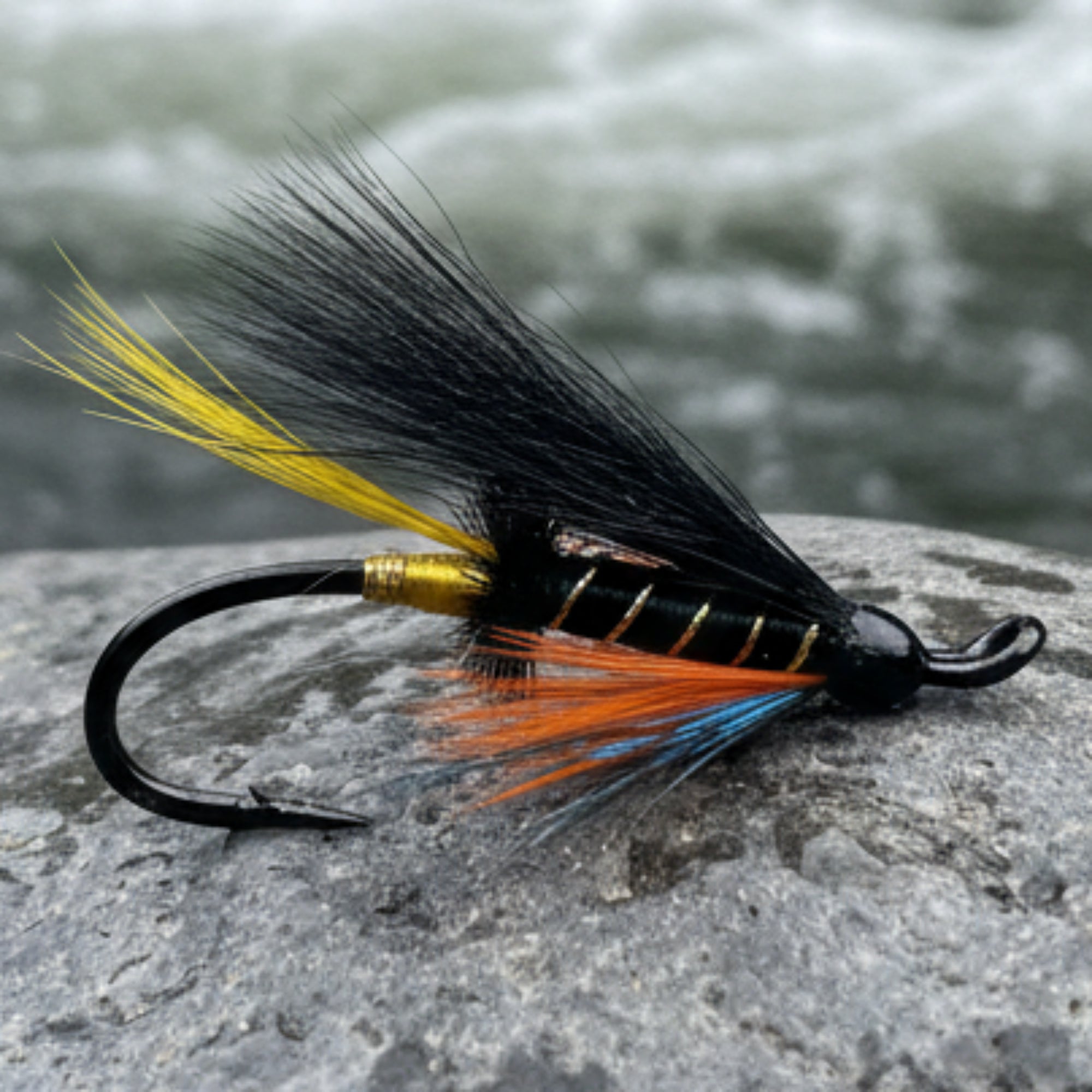 atlantic salmon wet fly. thunder and lightning. black body with black wing and orange throat gold ribbing