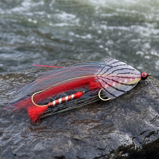 Tandem Streamer - Red Grey Ghost resting on a rock with the river in the background