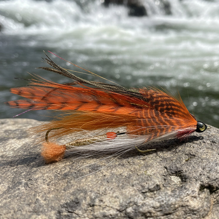 Tandem Streamer - teal and orange resting on a rock with a river in the background