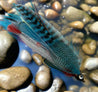 Teal and Blue Tandem Streamer