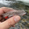 Tandem streamer - teal and white in the hands of a fly fisherman
