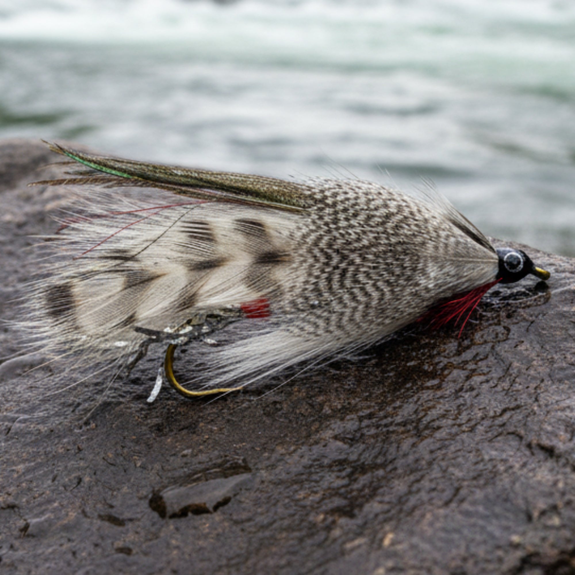Streamer Fly - White and Teal resting on a rock in the river