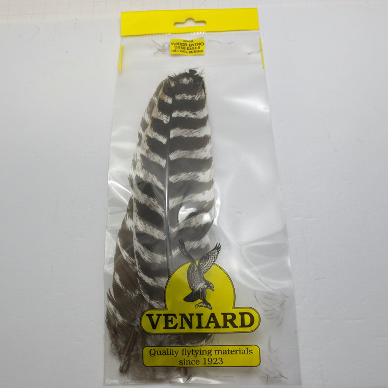 Barred Turkey Wing Quill on a white background