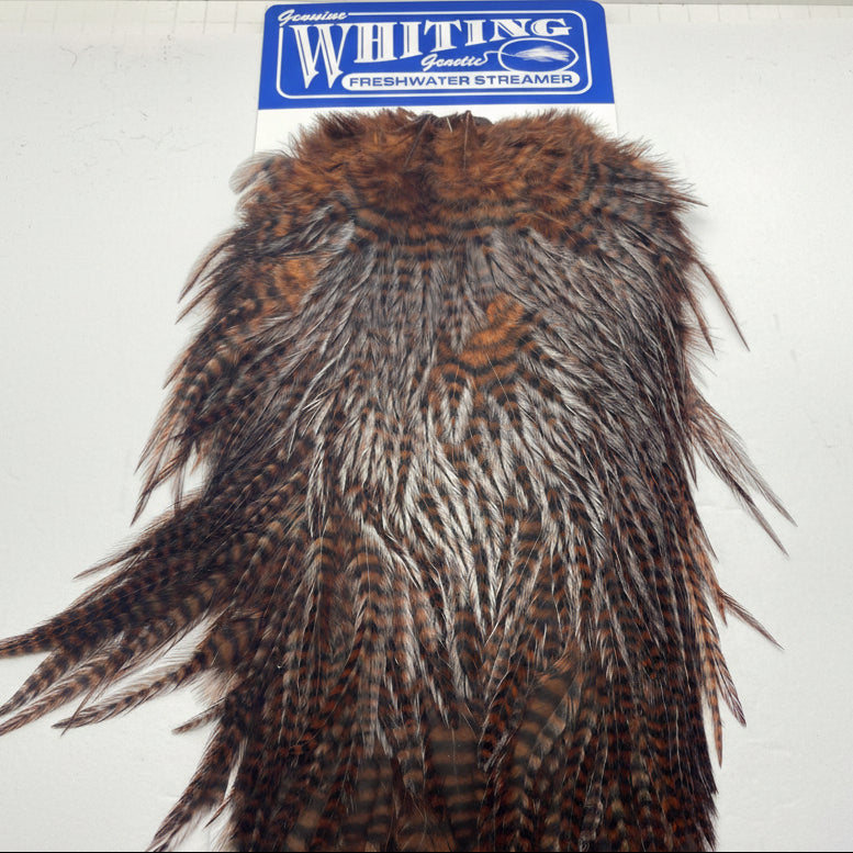 Whiting freshwater Streamer Saddle - Coachamn brown on a white background