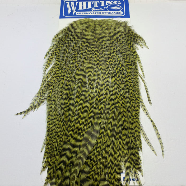 Whiting Freshwater Streamer Saddle - grizzly Olive on a white background