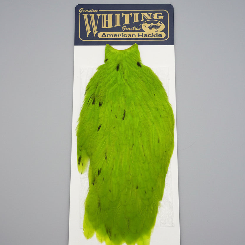 american hen cape in green chartreuse. fly tying material