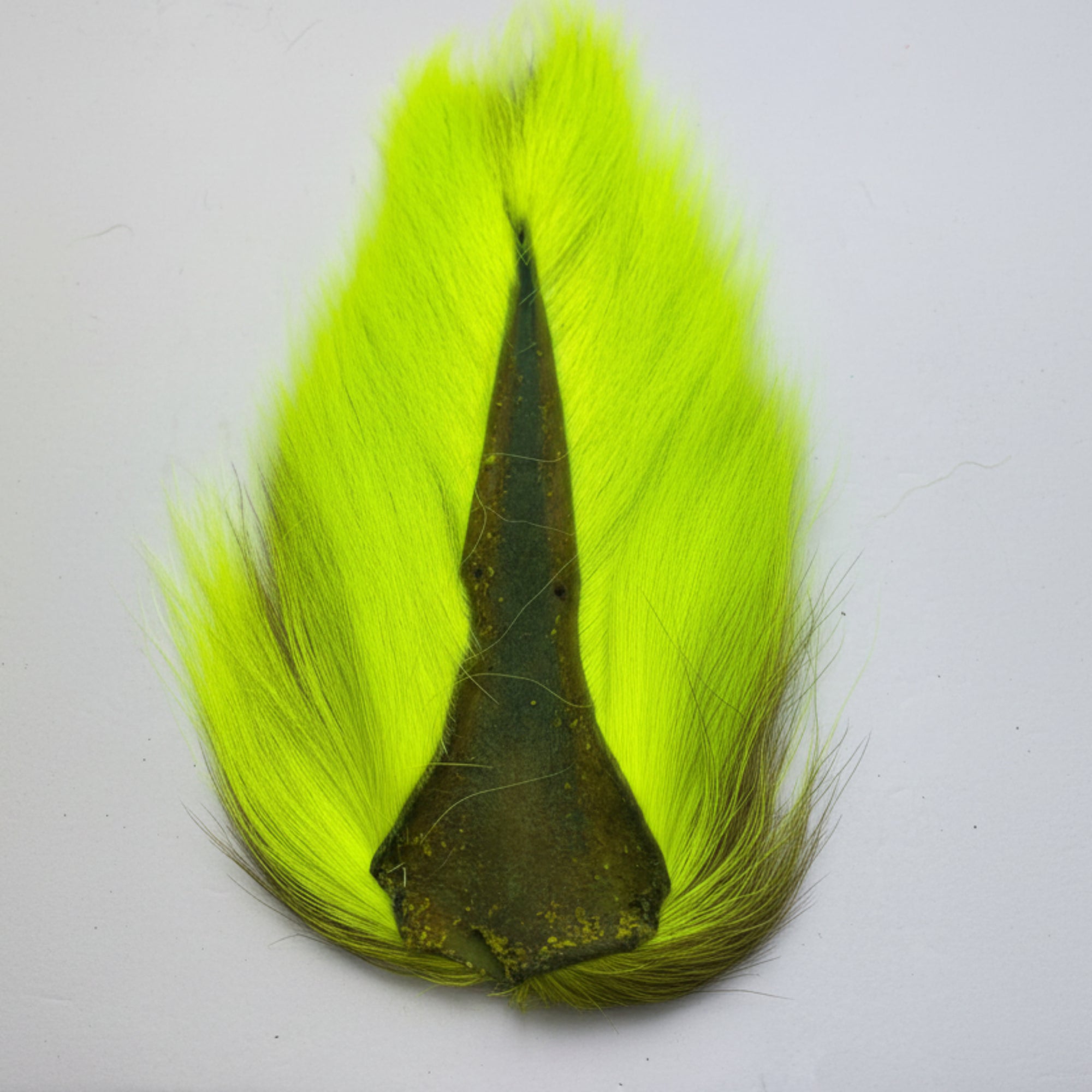 chartruse bucktail on a white background