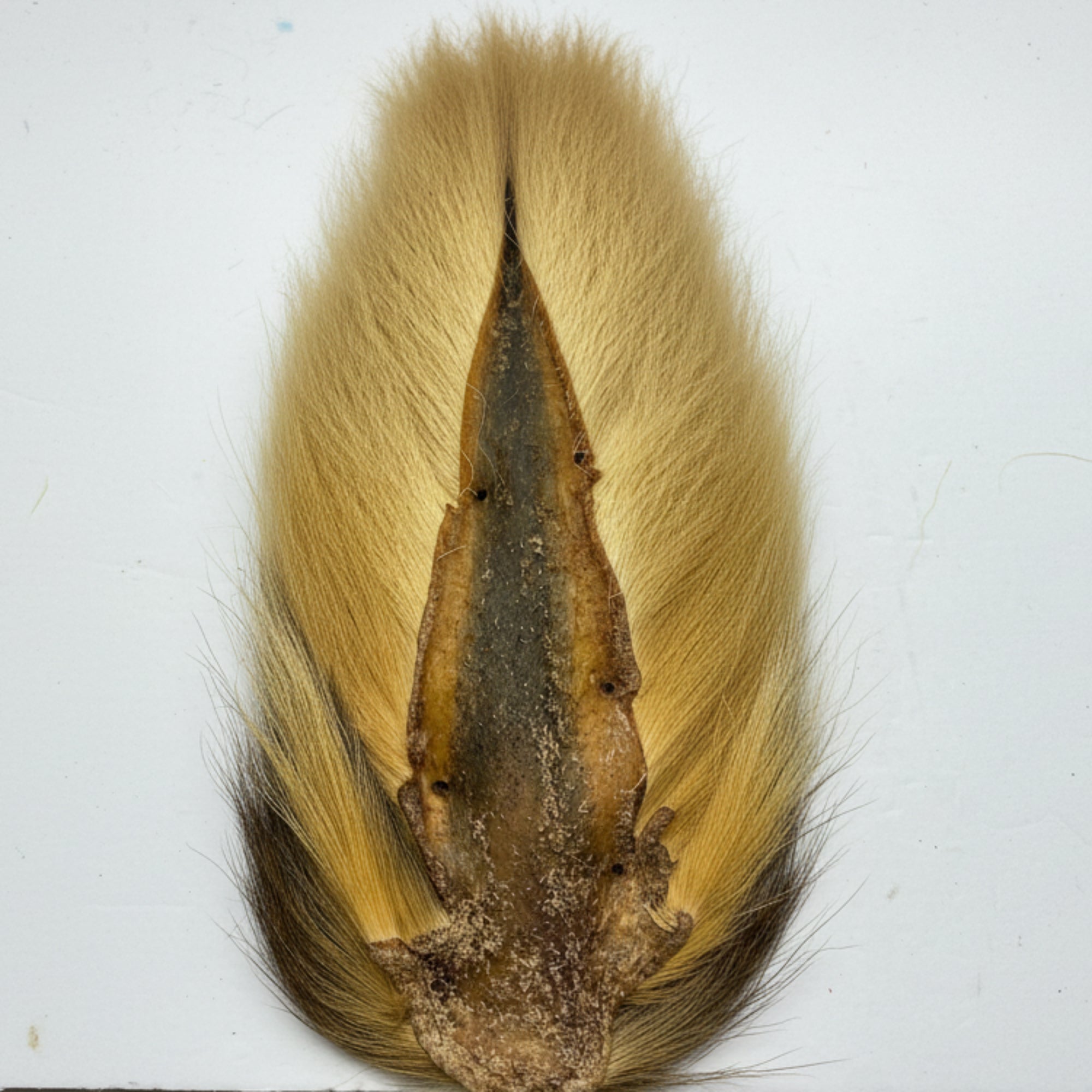 tan bucktail on a white background