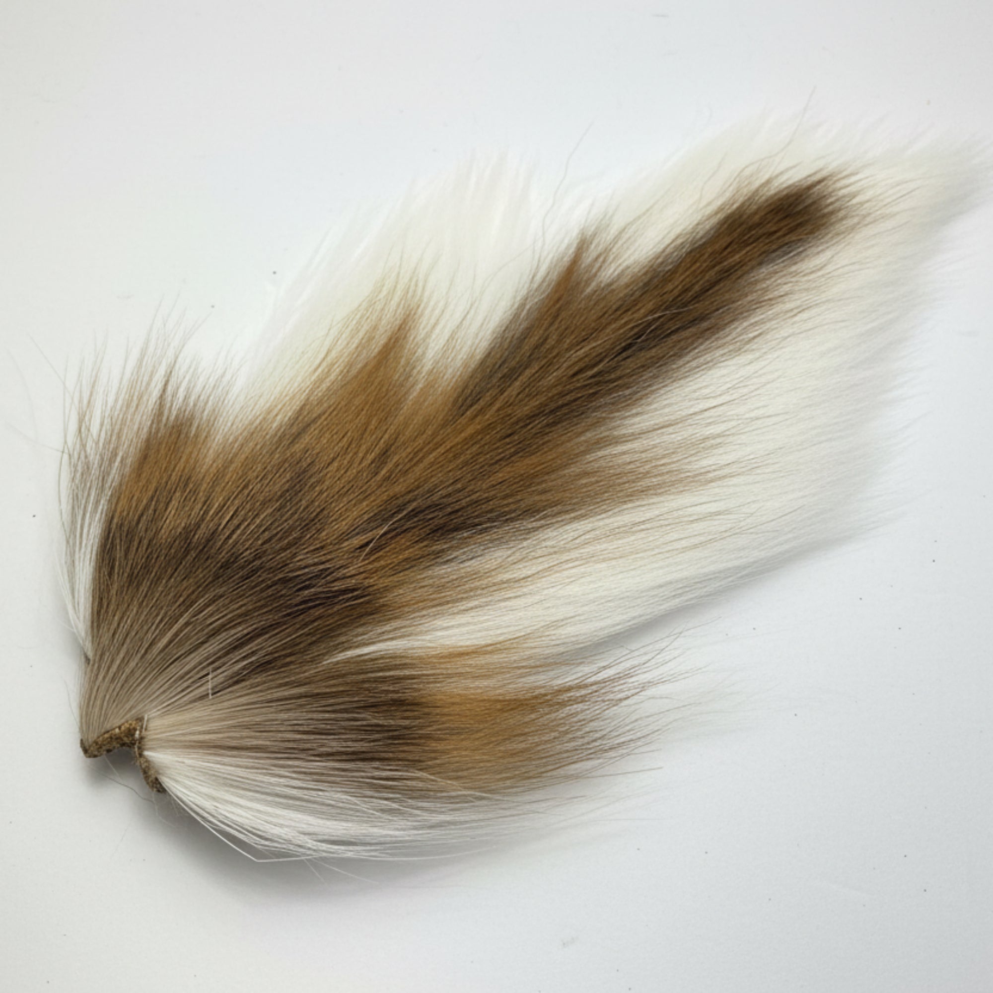 white bucktail on a white background