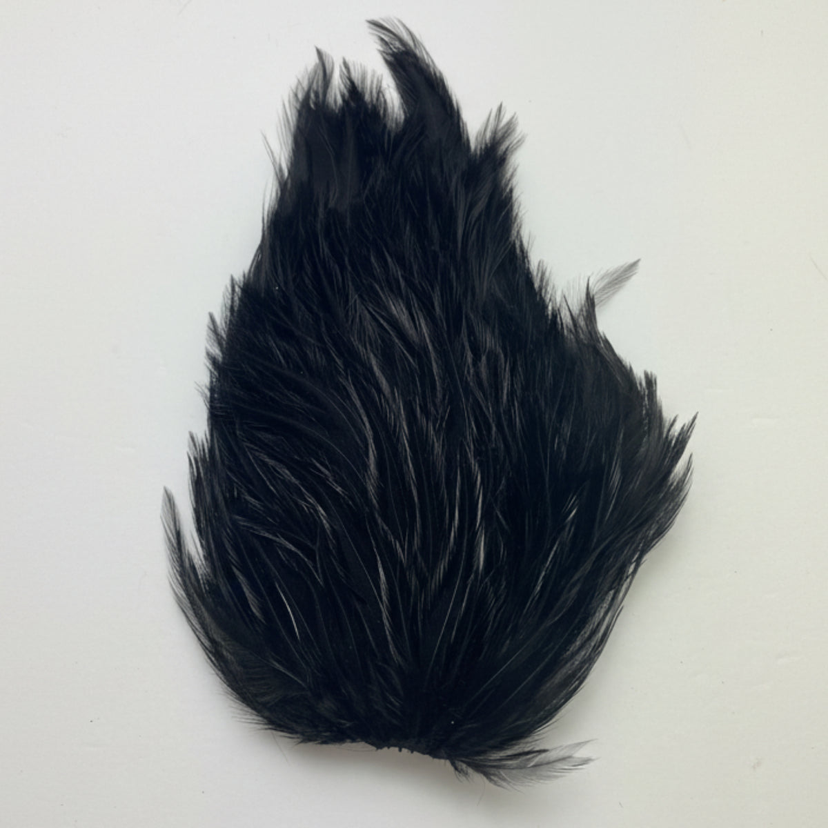 Black rooster neck on a white background