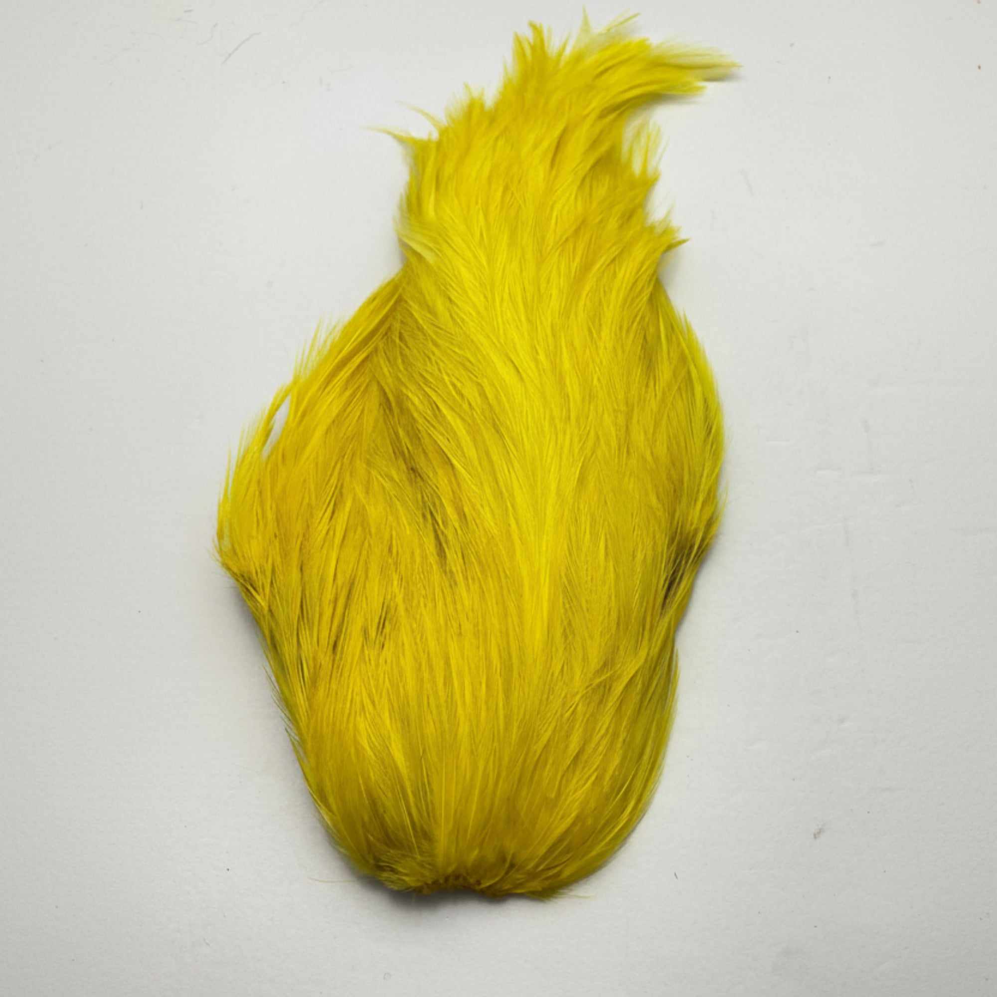 Yellow rooster neck on a white background