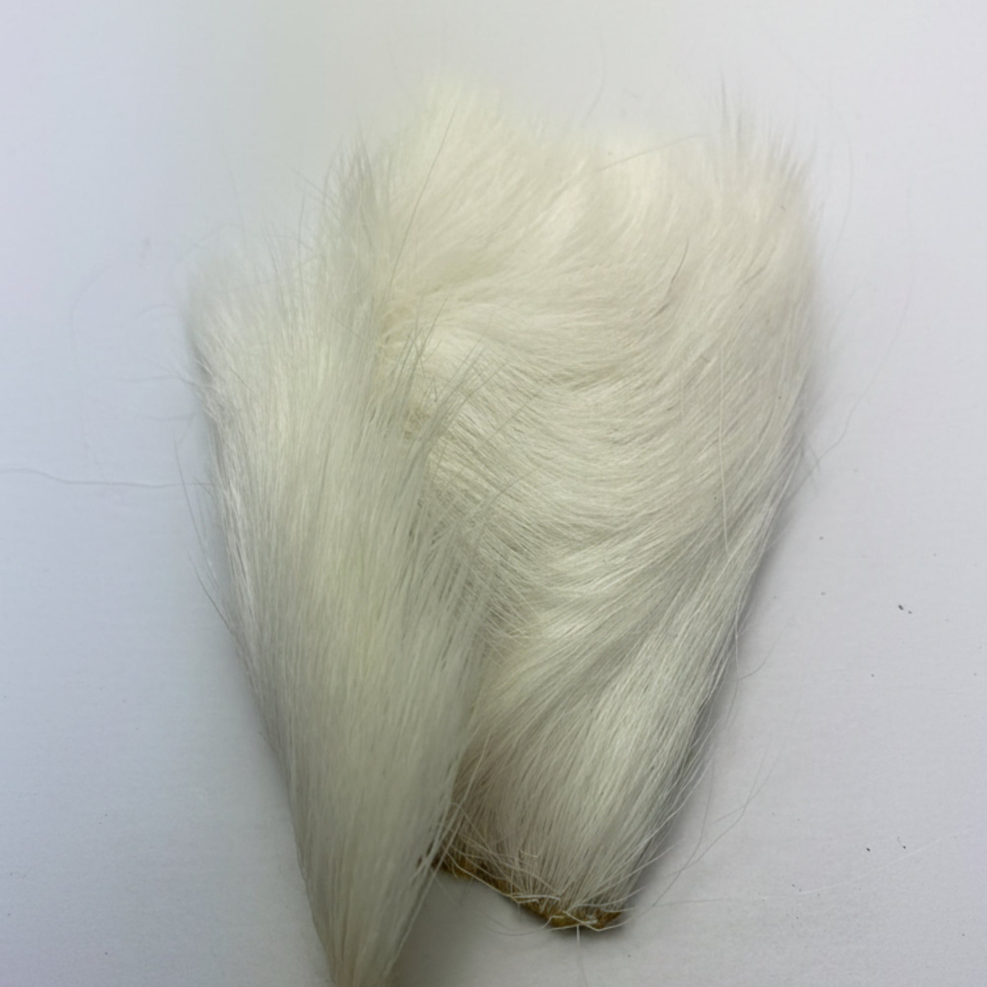 deer belly white