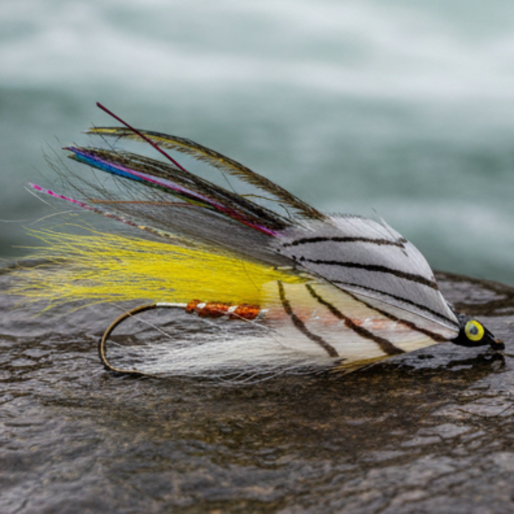 Fishing fly with a hook on a white background