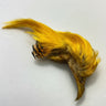 golden pheasant crest - natural color