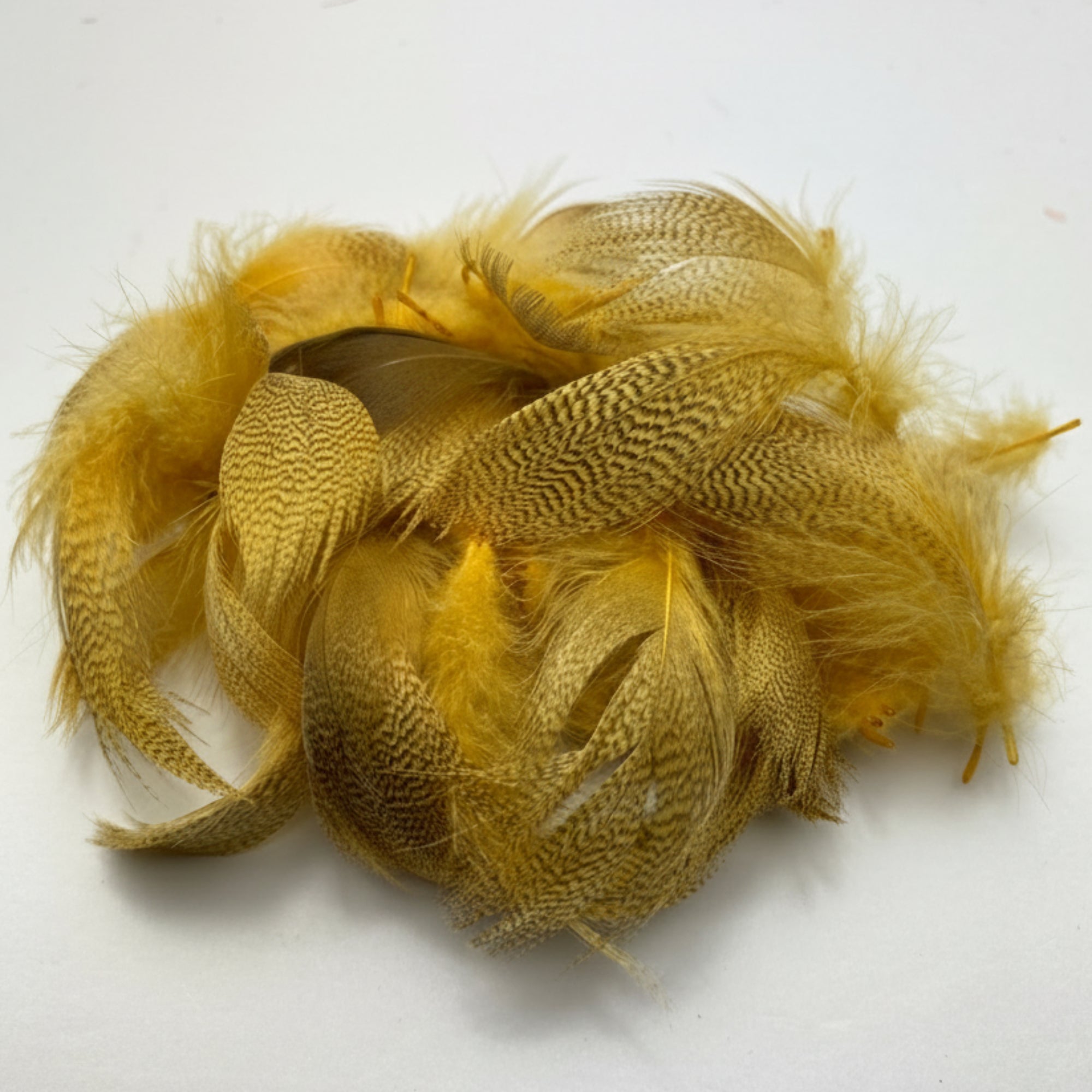 mallard dyed woodduck feathers