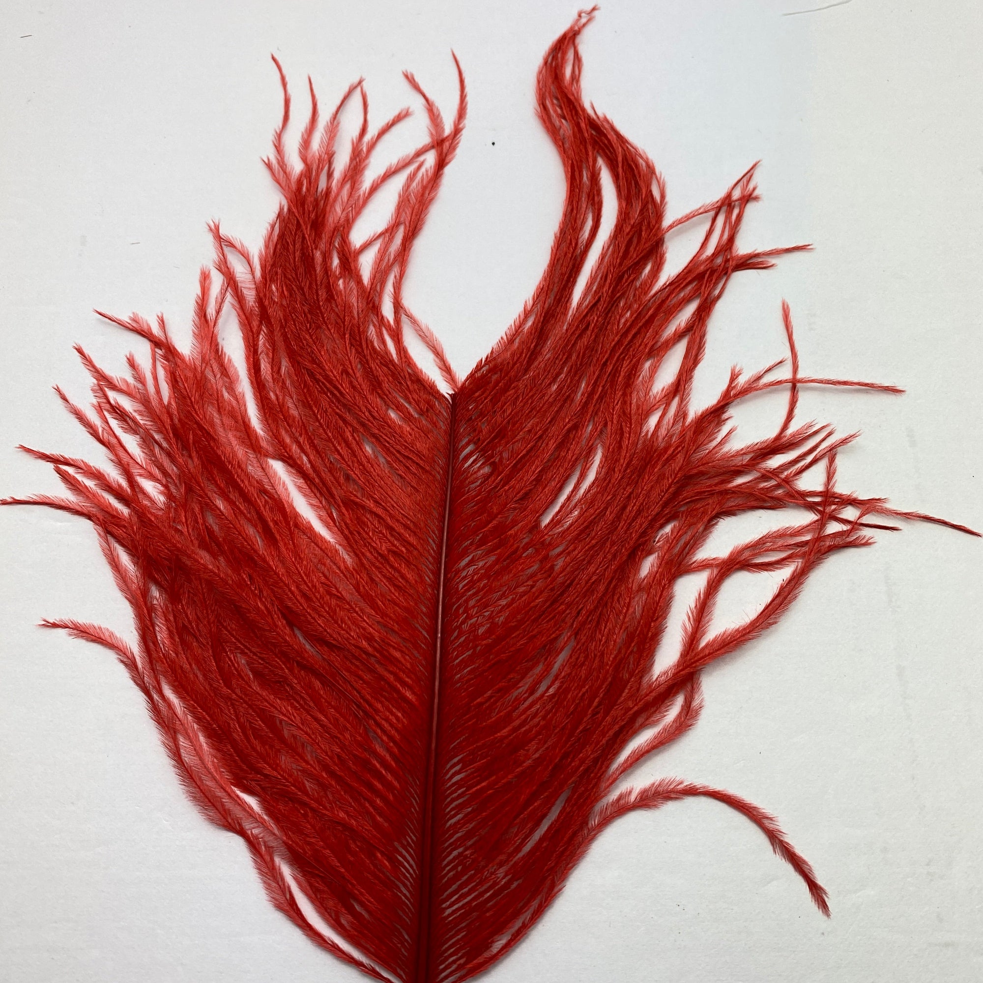 ostrich herl in red