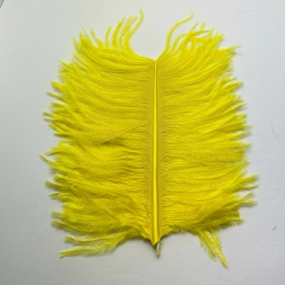 ostrich herl in color yellow