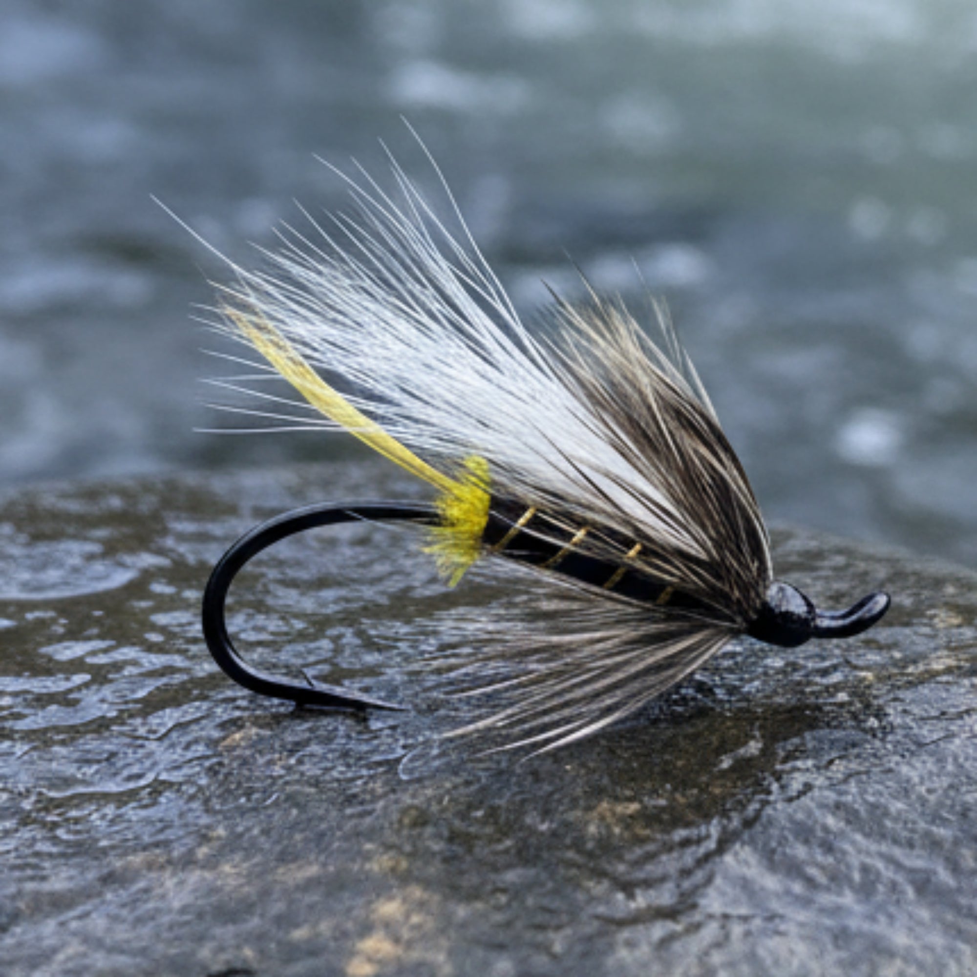 Fishing fly with black and yellow details on a white background