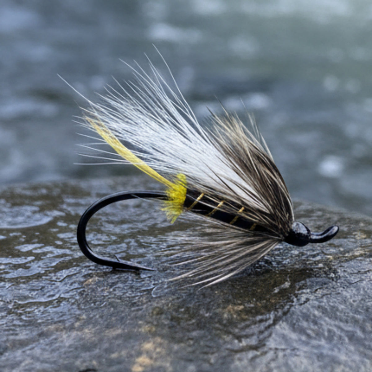 Fishing fly with black and yellow details on a white background