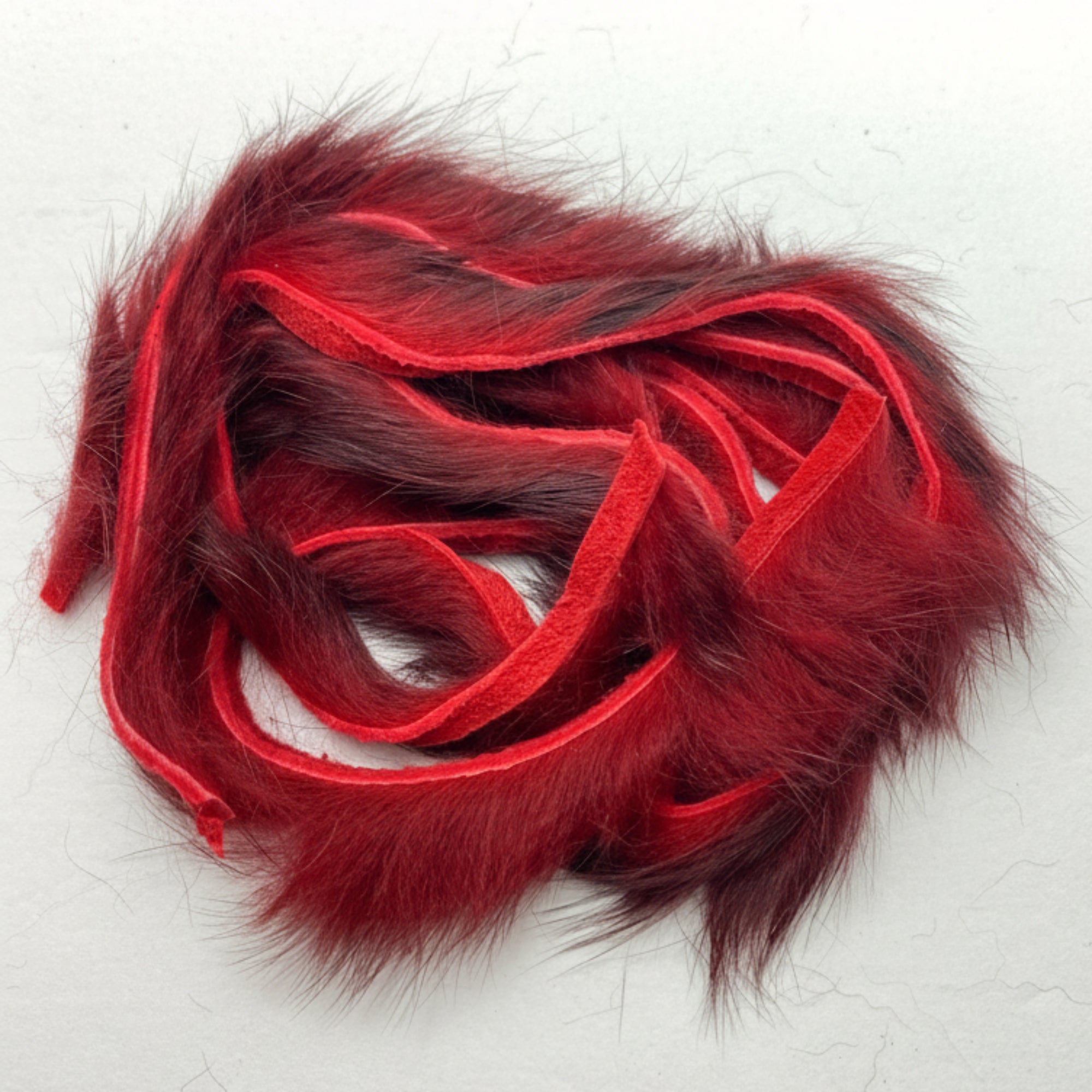 rabbit strips. Leech red color