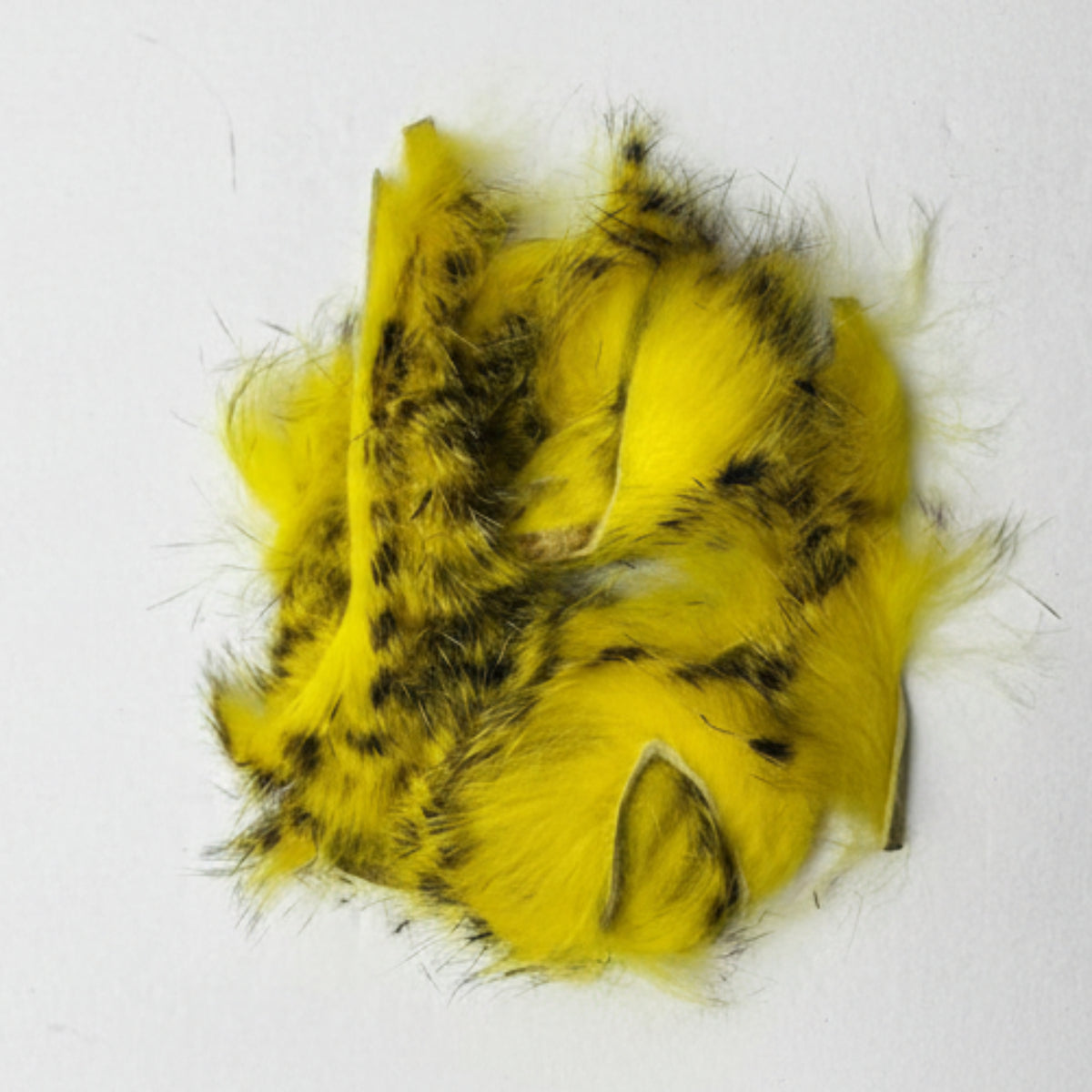 black barred rabbit strips in color yellow