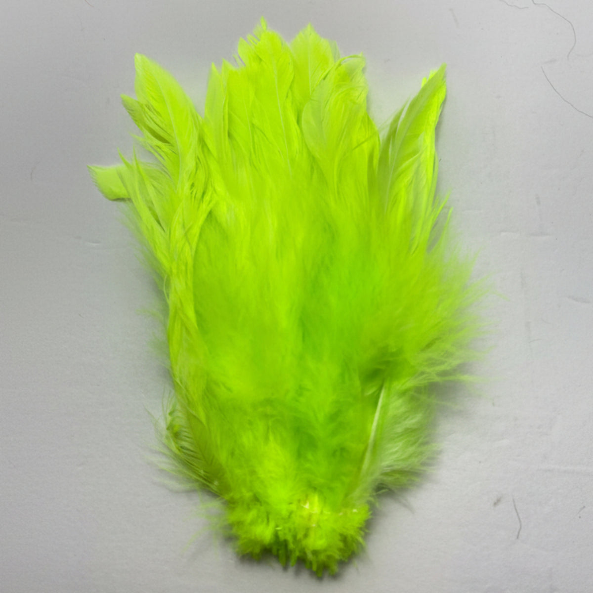Neon green feathers on a gray background