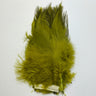 Green feathers on a white background