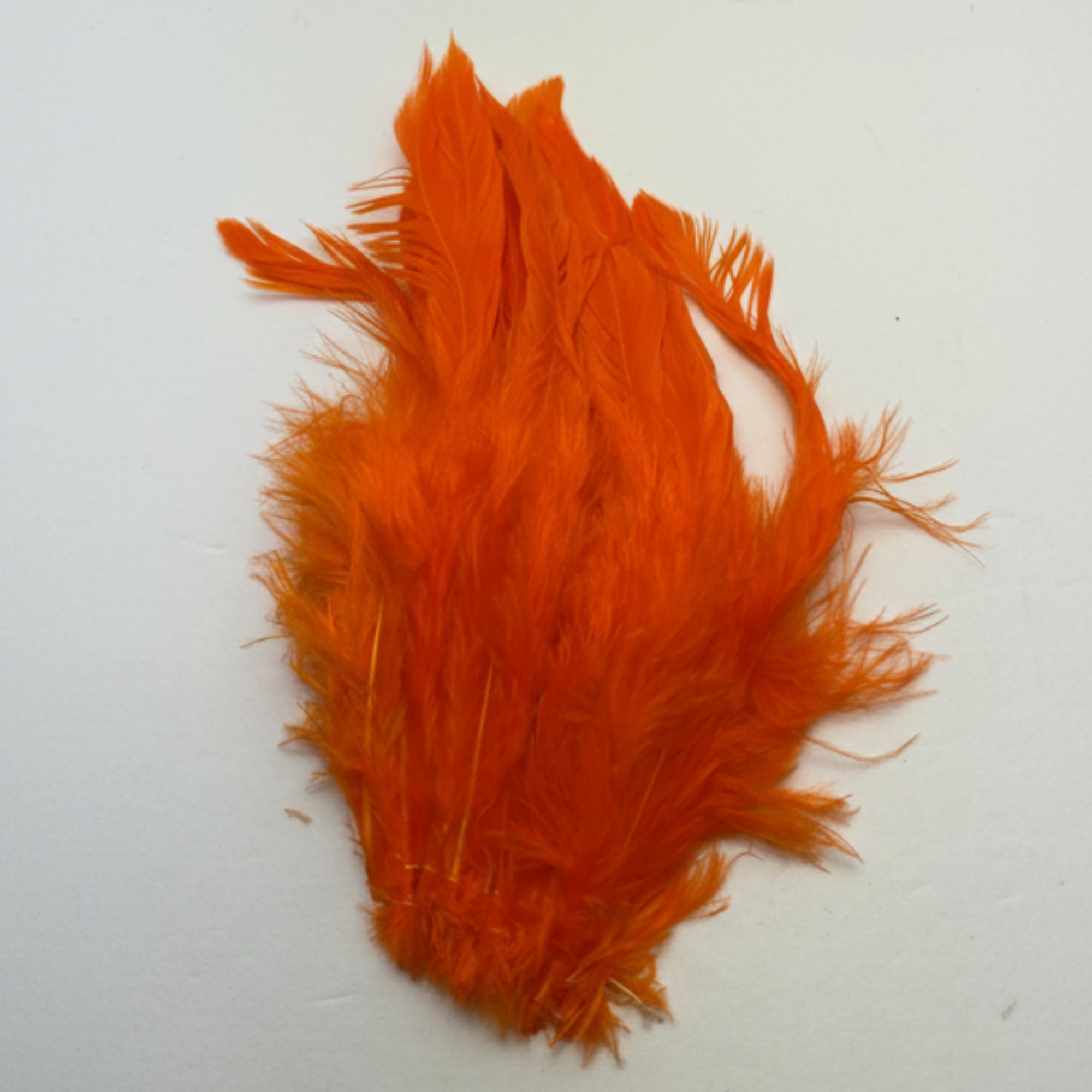Orange feathers on a white background