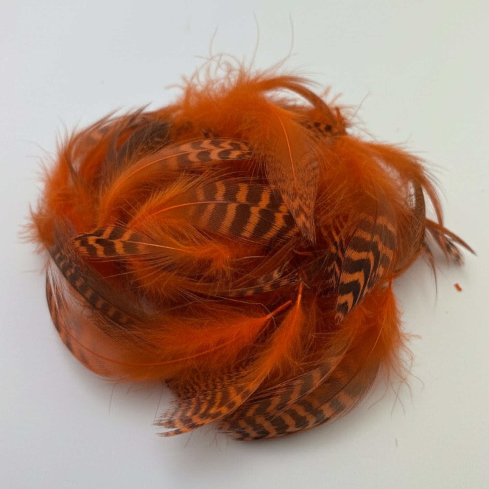 teal color orange
