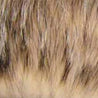 Badger Hair