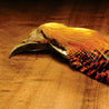 Golden Pheasant - Complete Head