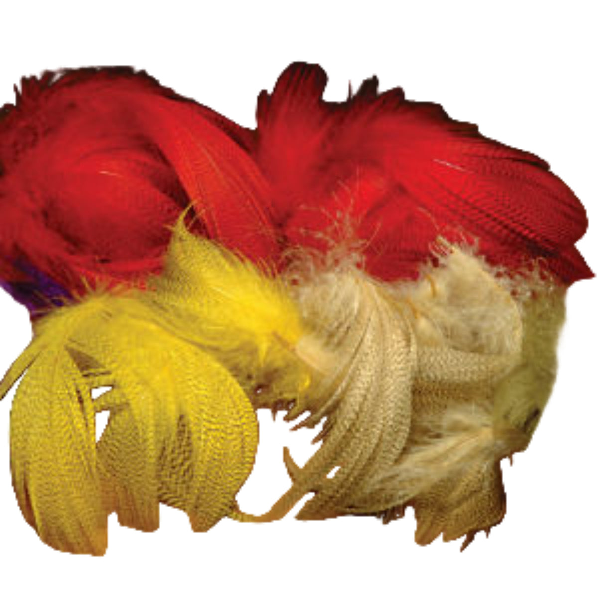 A variety of colored feathers arranged on a surface, likely used for fly tying in fishing.