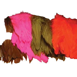 Colorful feathers in pink, green, and red on a white background